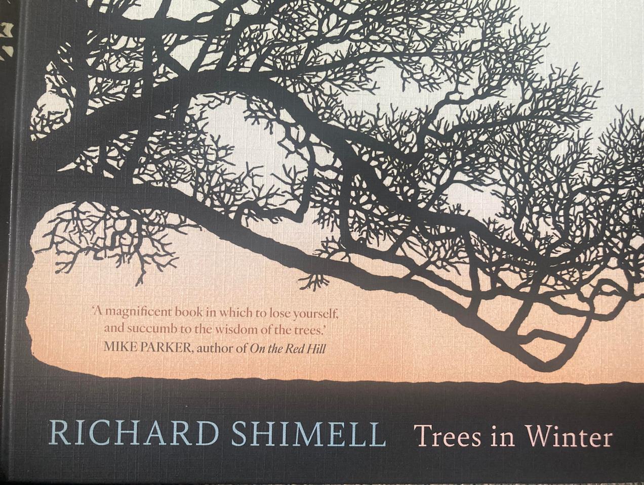 Trees in Winter